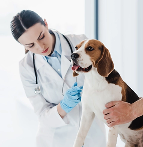 Pınarbaşı Veteriner