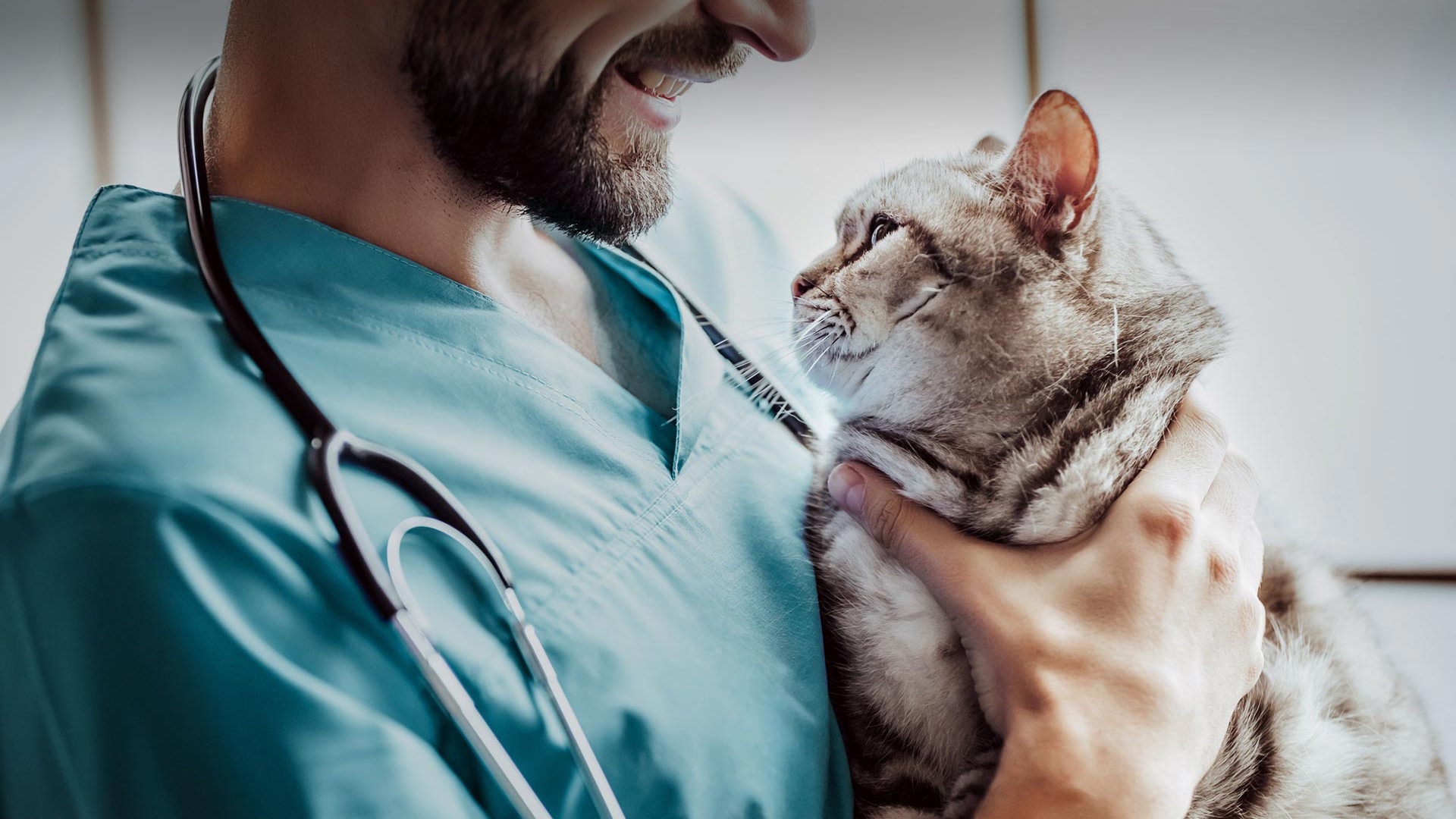 Pınarbaşı Veteriner